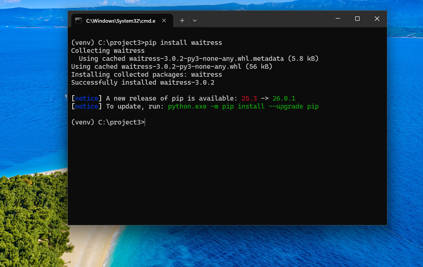 Learning by breaking/ building a Waitress watchdog for Windows